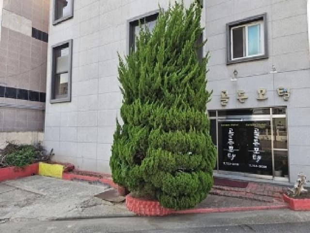 B000421202501300308701.jpg
