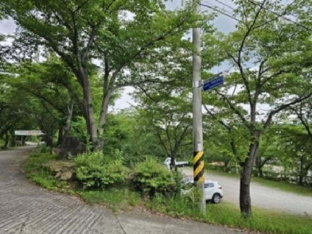 B0004212025013003089341.jpg