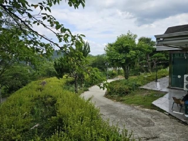 B0004212025013003089338.jpg