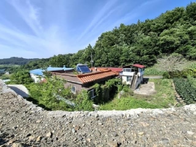 B000421202501300309023.jpg