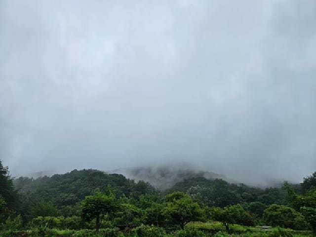 B000421202501300309332.jpg