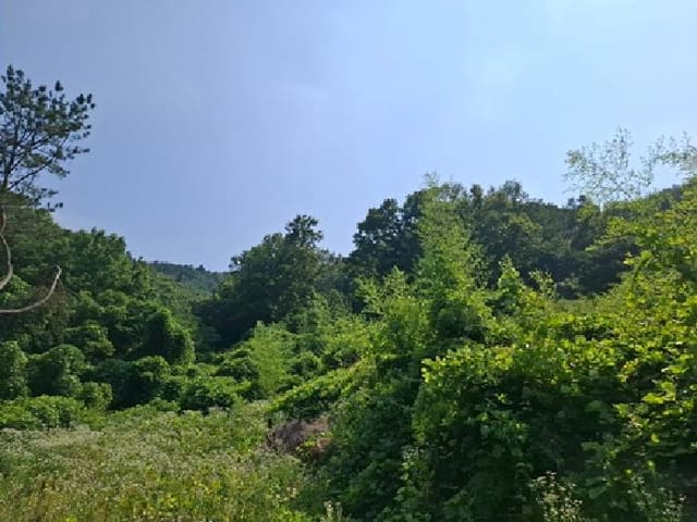 B000421202501300309331.jpg