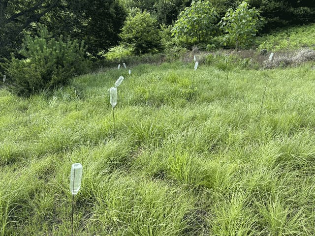 B000421202501300309453.jpg