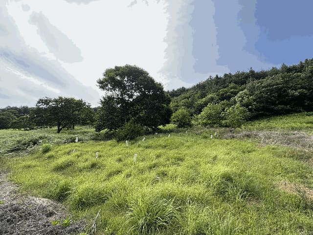 B000421202501300309454.jpg