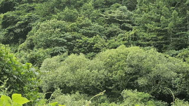 B000421202501300309784.jpg