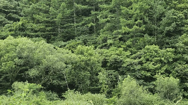 B000421202501300309783.jpg