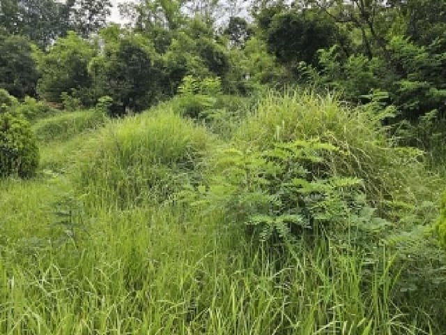 B000421202501300309803.jpg