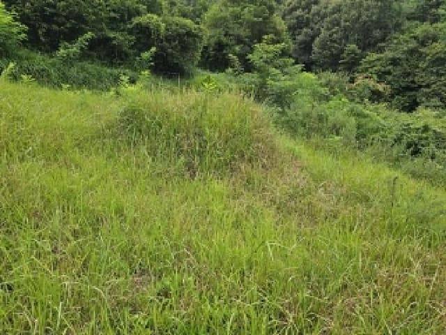B000421202501300309801.jpg