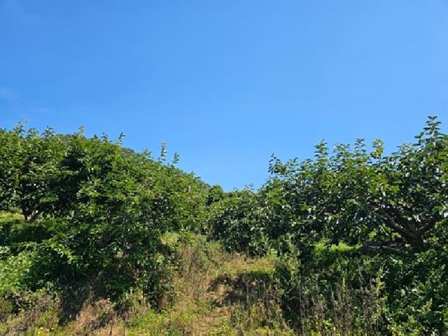 B000421202501300309811.jpg