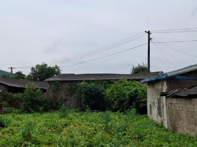 B000421202501300309861.jpg