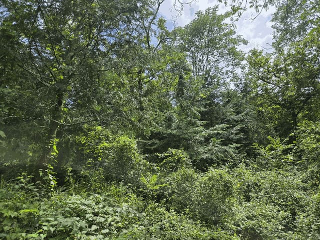 B000421202501300310144.jpg