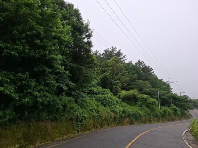 B000421202501300310172.jpg