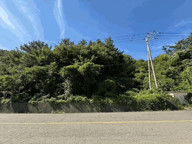 B000421202501300310174.jpg