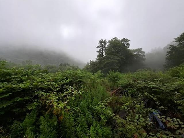 B000421202501300310171.jpg