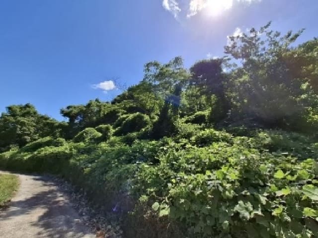 B000421202501300310392.jpg