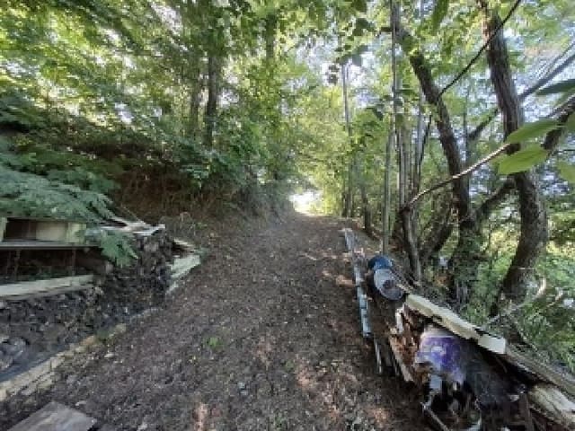 B000421202501300310444.jpg