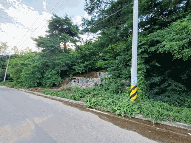 B000421202501300310533.jpg