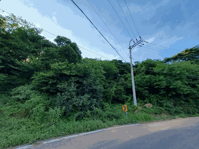 B000421202501300310534.jpg