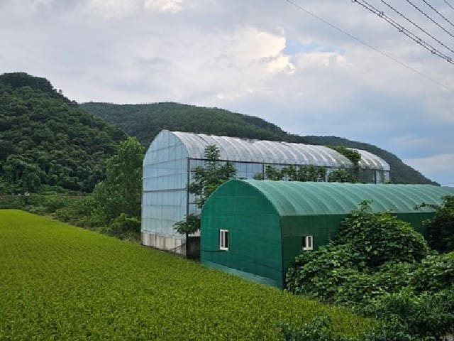 B000421202501300310611.jpg