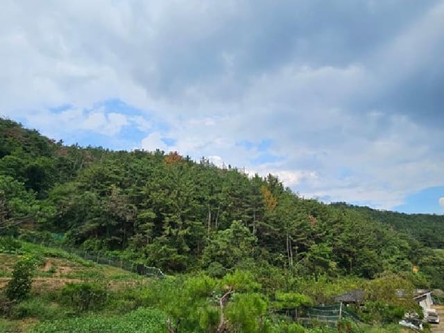 B000421202501300310641.jpg