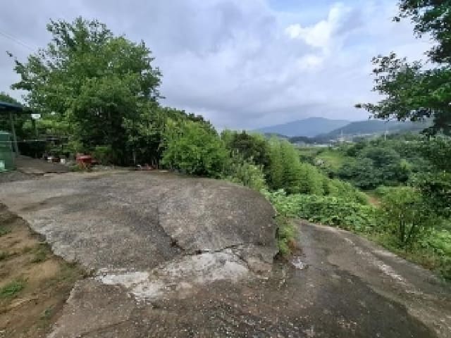 B000421202501300310822.jpg