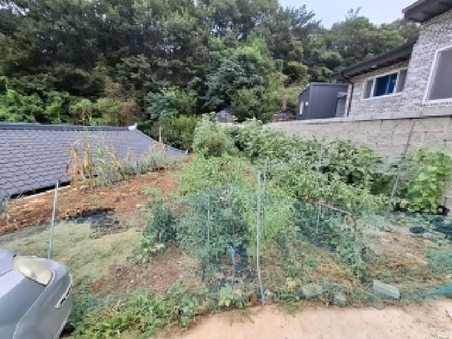 B000421202501300310854.jpg