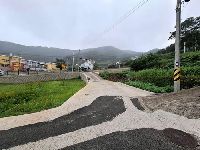 B000421202501300310911.jpg