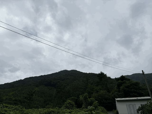 B000421202501300310964.jpg