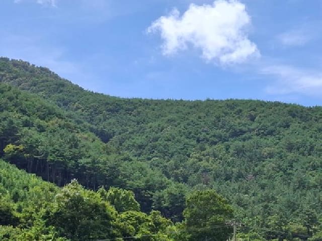 B000421202501300310961.jpg