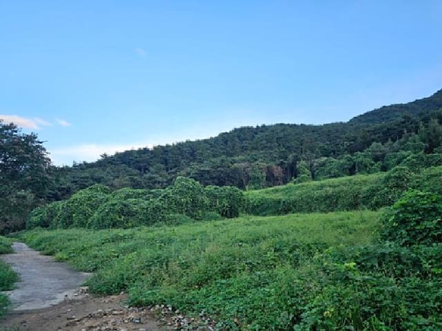 B0004212025013003111137.jpg