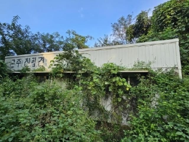 B0004212025013003111134.jpg