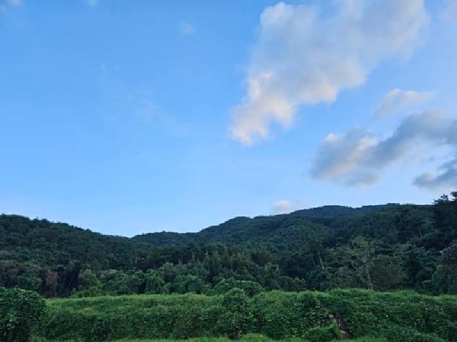 B0004212025013003111135.jpg