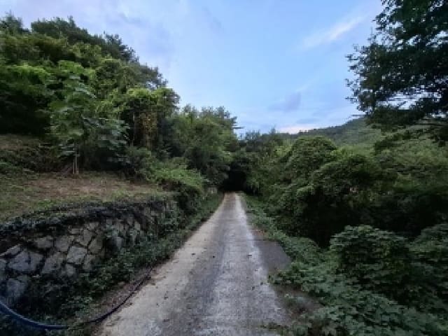 B000421202501300311123.jpg
