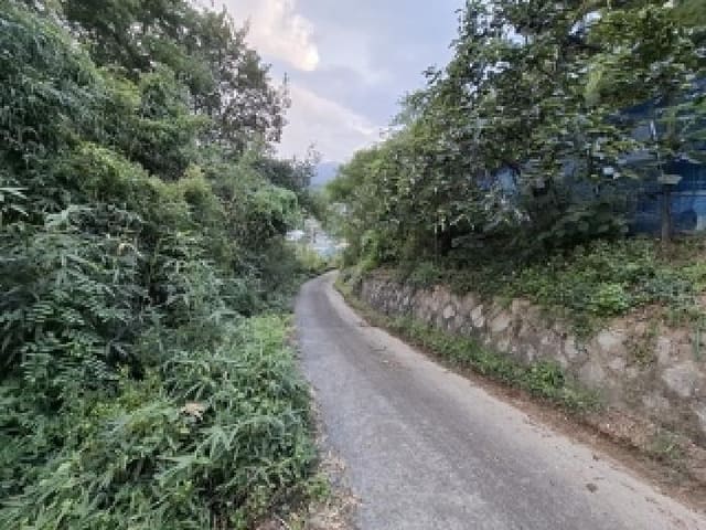 B000421202501300311122.jpg