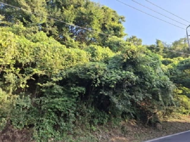 B000421202501300311121.jpg