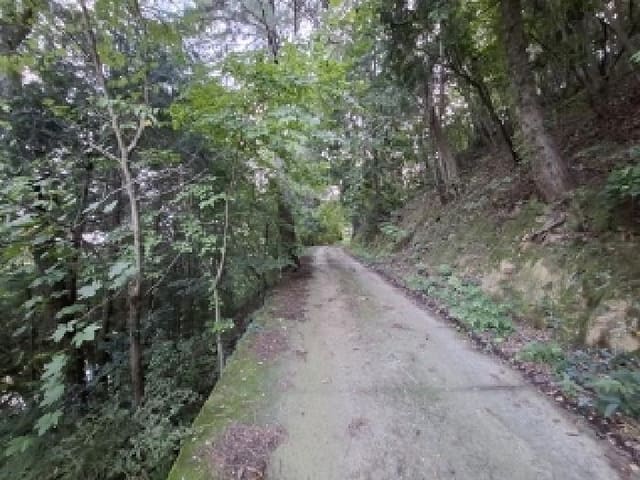 B000421202501300311124.jpg