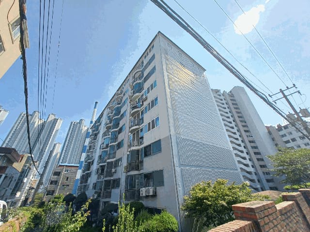 B000421202501300311204.jpg