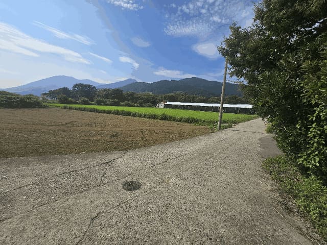 B000421202501300311264.jpg