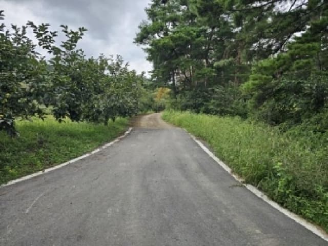 B000421202501300311341.jpg