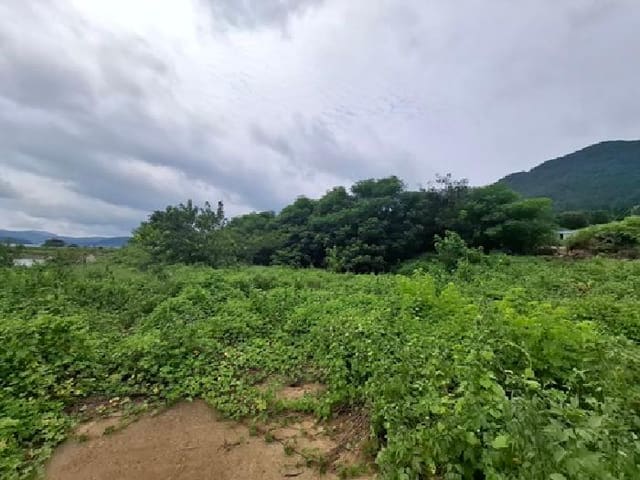 B000421202501300311374.jpg