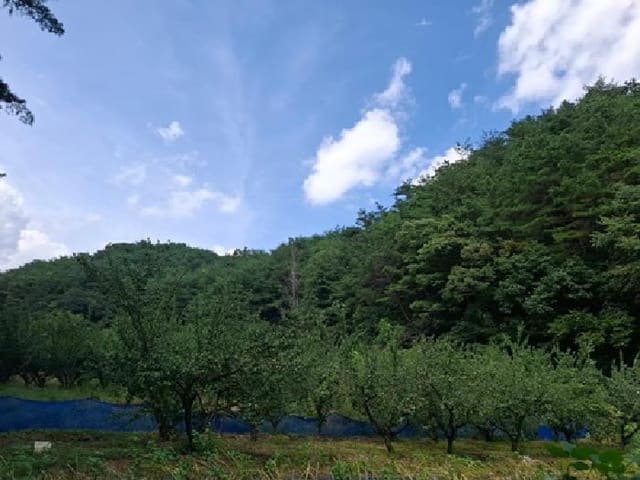 B000421202501300311452.jpg