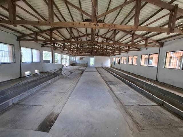 B000421202501300311454.jpg