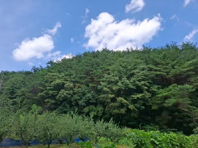 B000421202501300311451.jpg