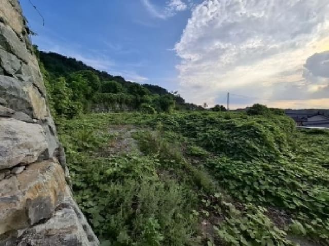 B000421202501300311531.jpg