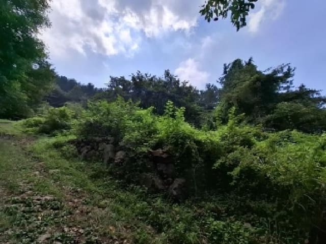 B000421202501300311642.jpg