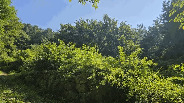 B000421202501300311644.jpg