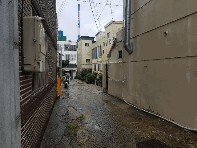 B000421202501300311674.jpg