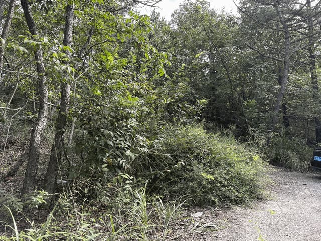 B000421202501300311724.jpg