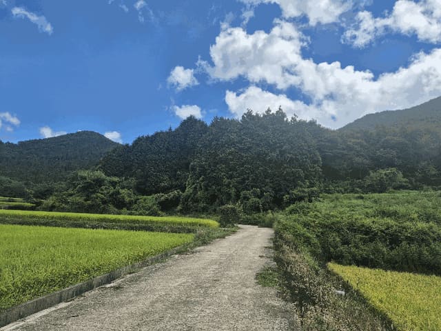 B000421202501300311784.jpg