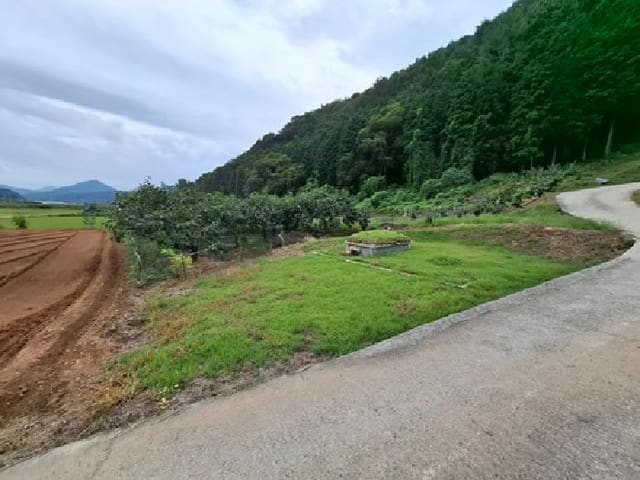 B000421202501300311922.jpg